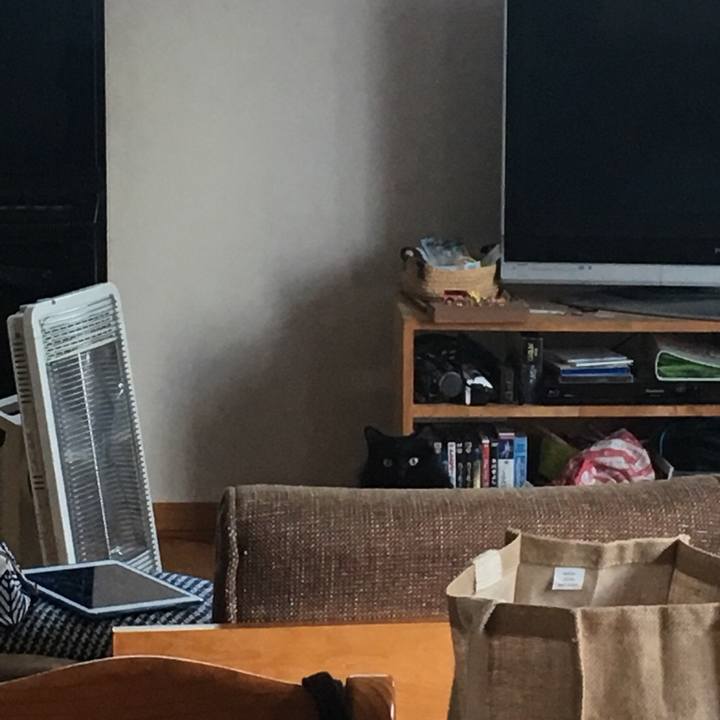 65bf055c bf14 4067 b364 5ca6a50611a7 1572947634360