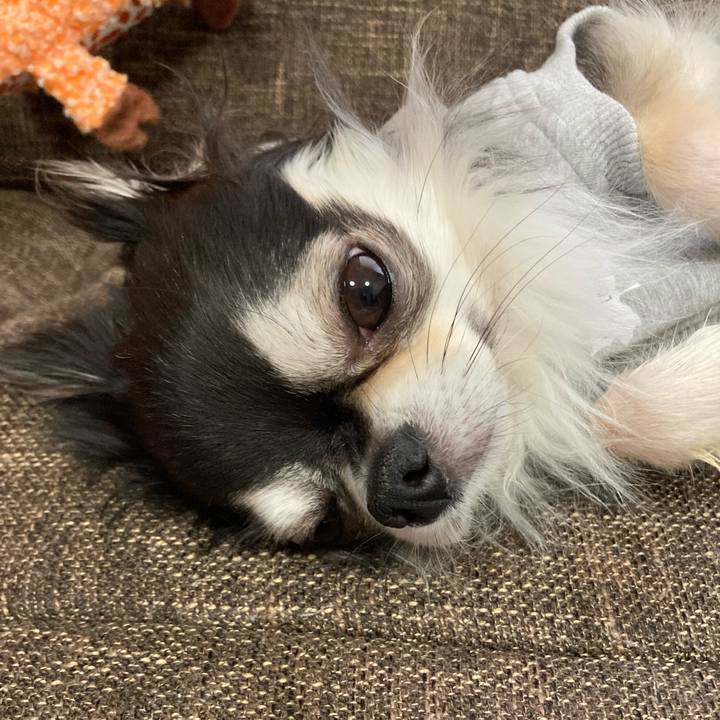 65bf56ef 73b5 4ab1 8058 5c5fa8ece5ad 1703405121150