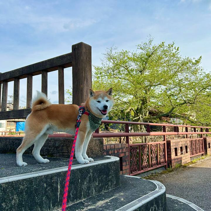 65bf6d18 0174 4e02 aeb8 e90e0f12cdda 1746095648778