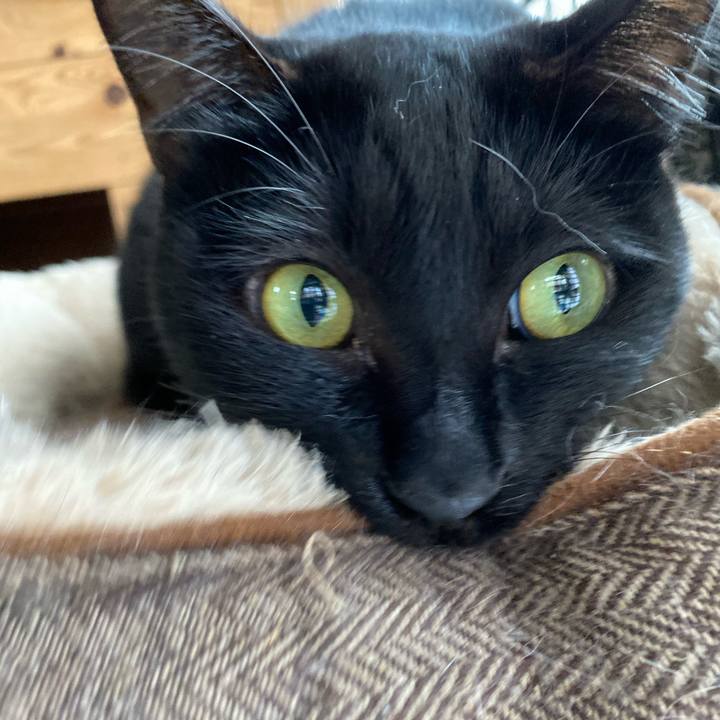 65bf9d56 4146 4dfc 8ae3 f9252aa3a998 1605741692800