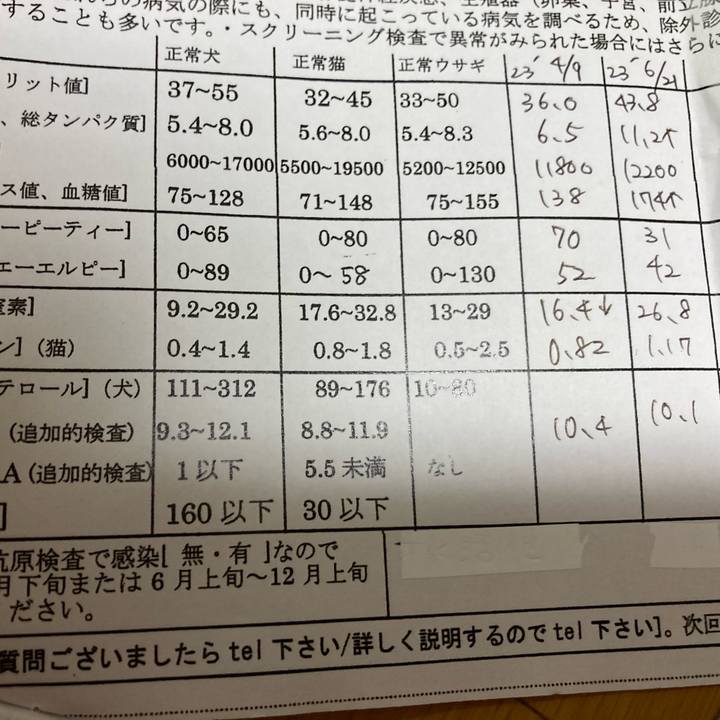 65bfd92b 92cb 4678 9e93 b0048fd874f6 1689070628142