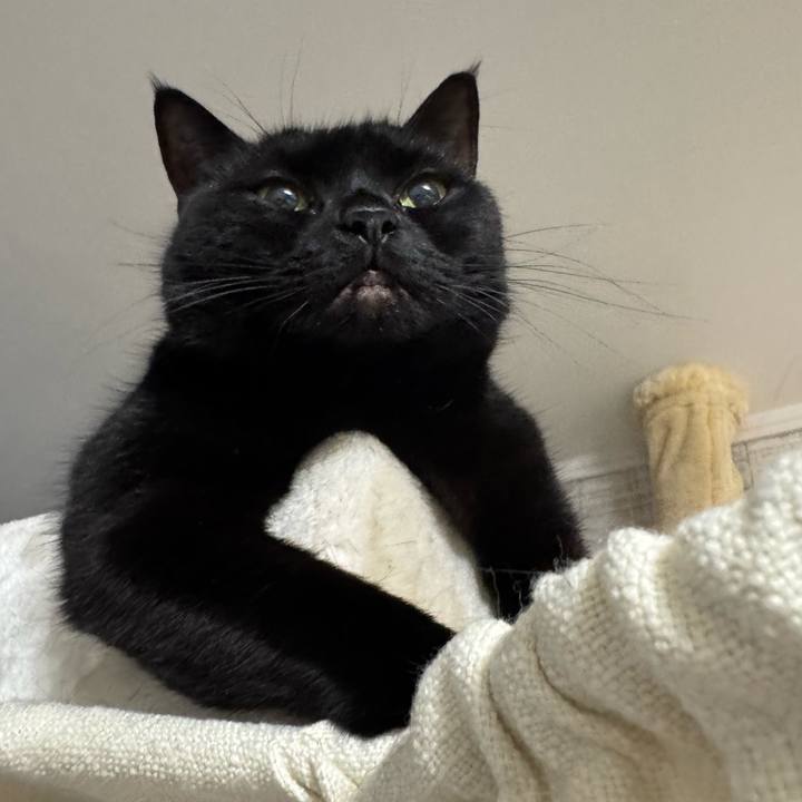 65c00da2 ed89 4571 a3fd f16a45552792 1765020718182