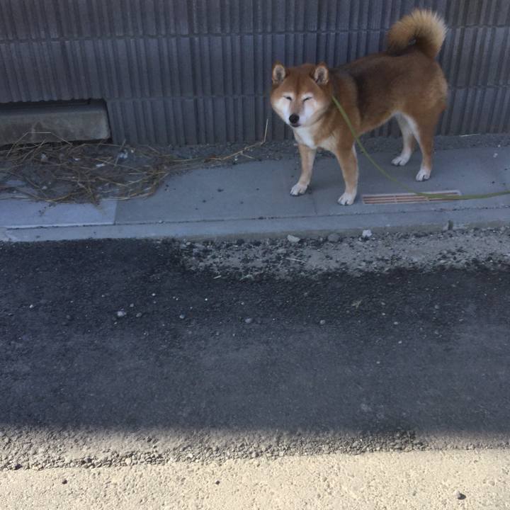 65c01602 ef41 47d5 9803 758dab5f770c 1581129766448