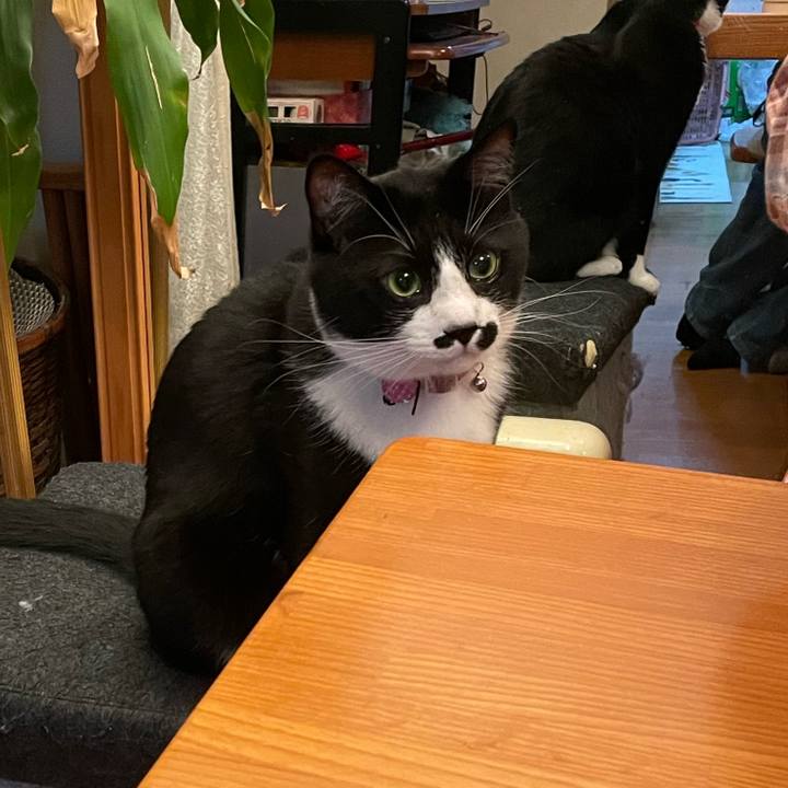 65c02128 b38e 4d0c 8af5 9a9f17d2a4bd 1652607367733