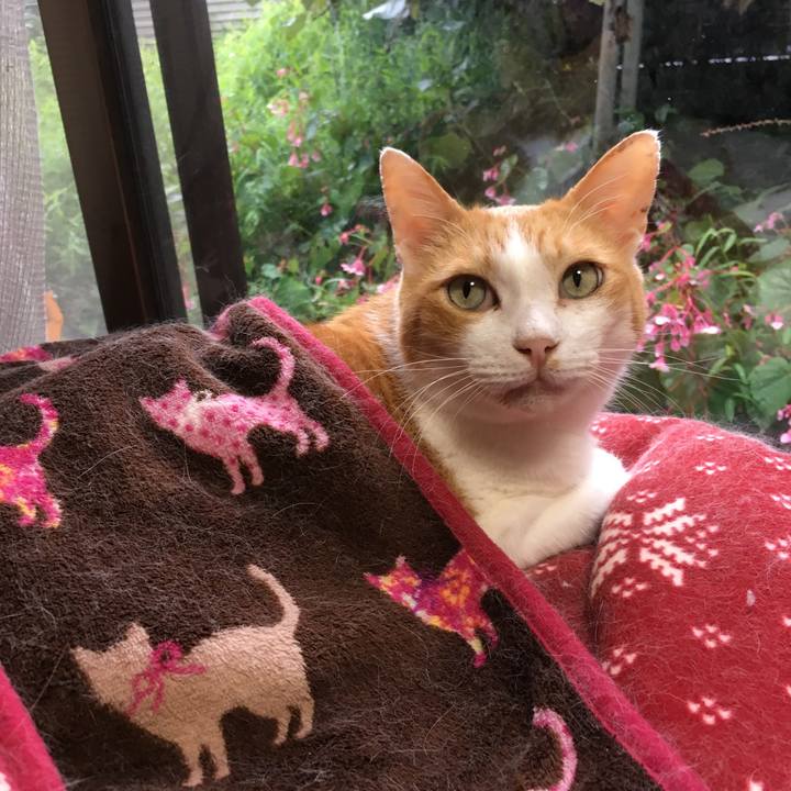 65c036fa 4b80 4237 9f51 510ade0103b9 1568179706299