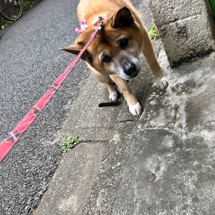 65c0393e b6a2 4e16 bdf3 201b68f6d3ce 1523664461363