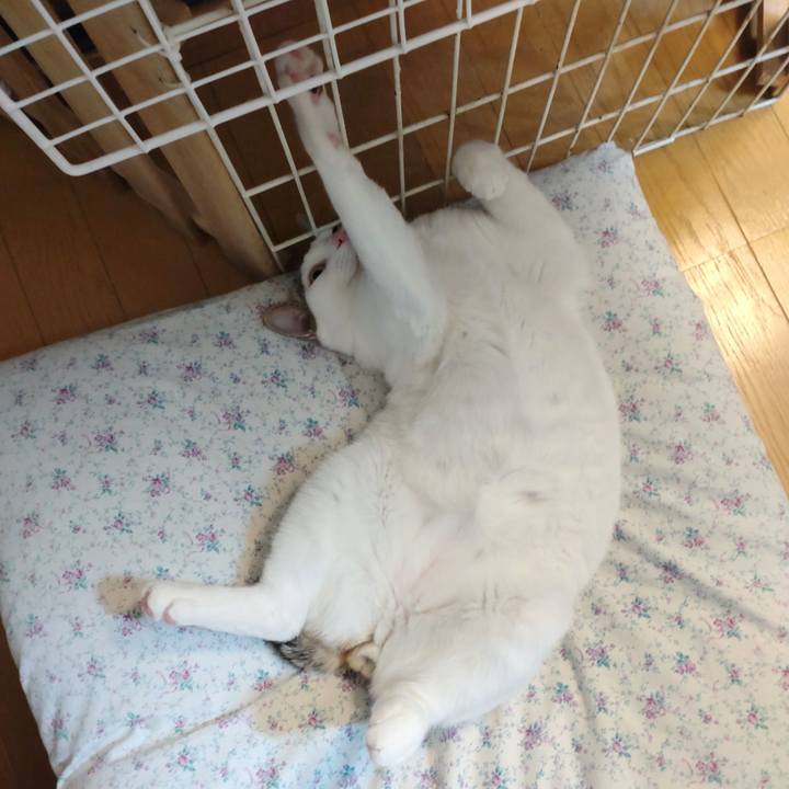 65c05281 79d3 42de 9999 6697a650237c 1710843772325