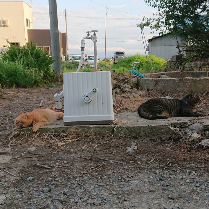 65c05f0d 7a07 456f 9a3e 56499c80d85a 1659431914396