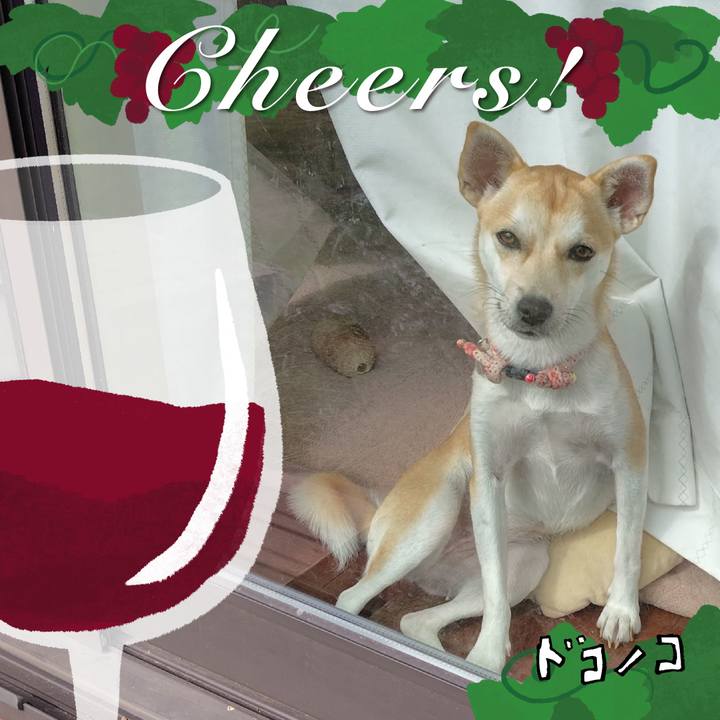 65c078da 6c90 420a ba15 65b32b279616 1762131082015