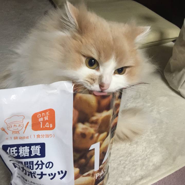 65c08fad 0180 4d70 80ec 6a5e006fa157 1519646831504