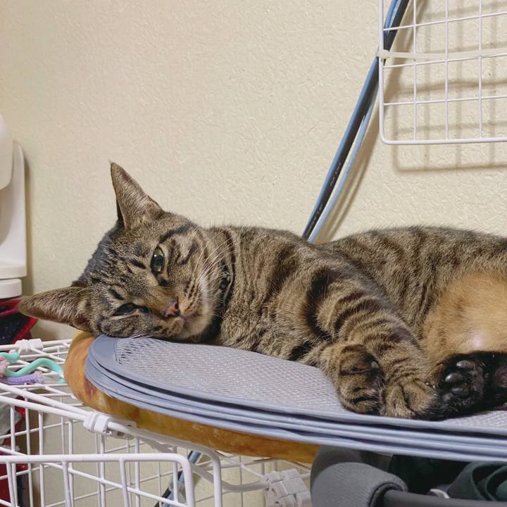 65c09625 250b 45b9 8cc6 80ee3db6c34a 1591119054876