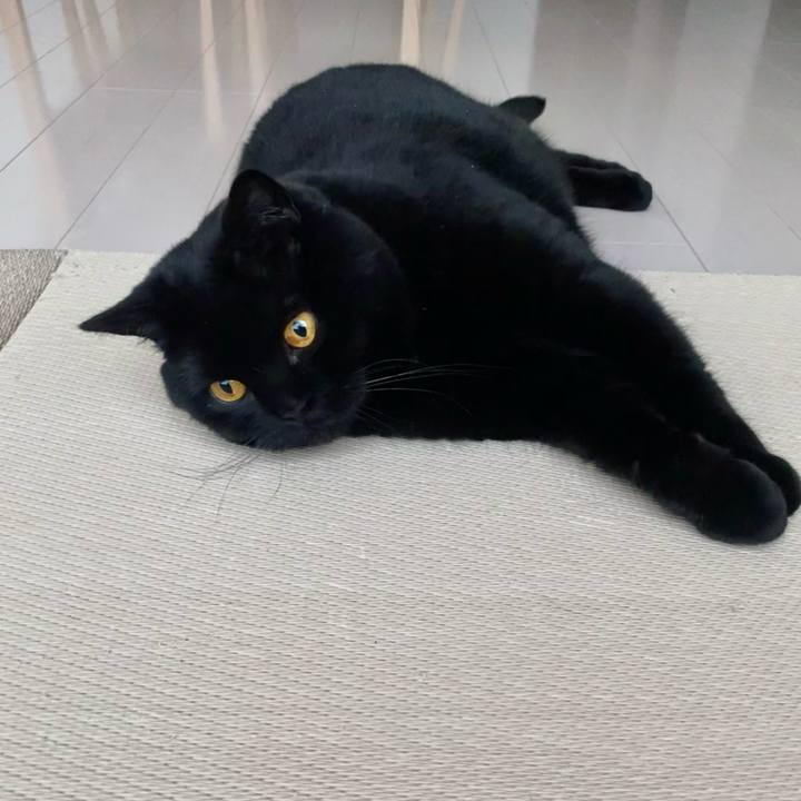 65c09aa2 f254 4f8d a62c c7e27e7582e1 1683970202090