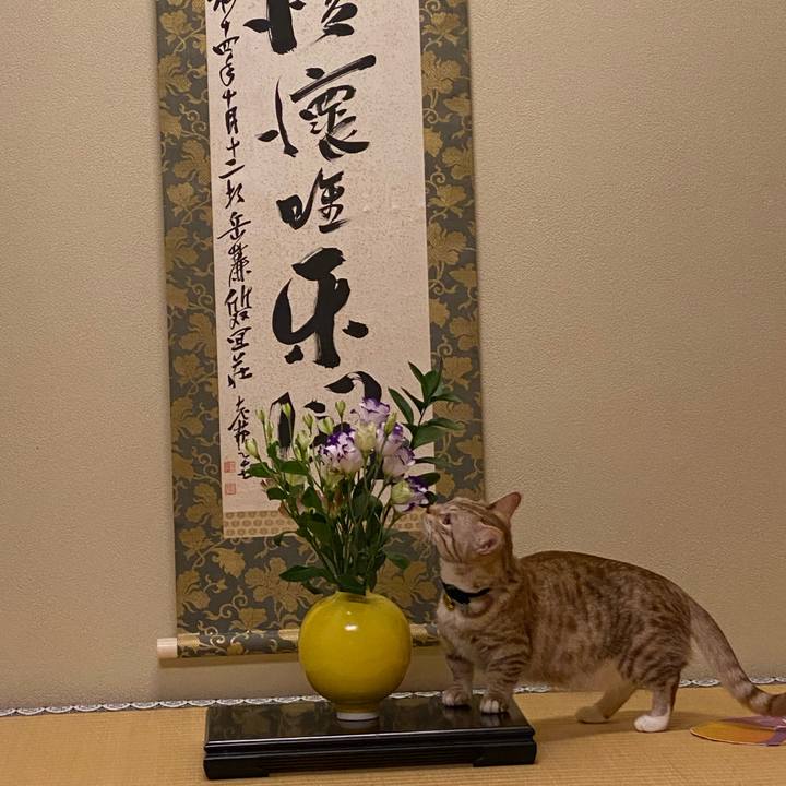 65c09f56 b91c 4cb2 805b a818e10e74ff 1637573773960