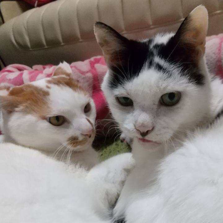 65c0d666 95eb 4017 bafa 0ba26120fc9b 1733568820432