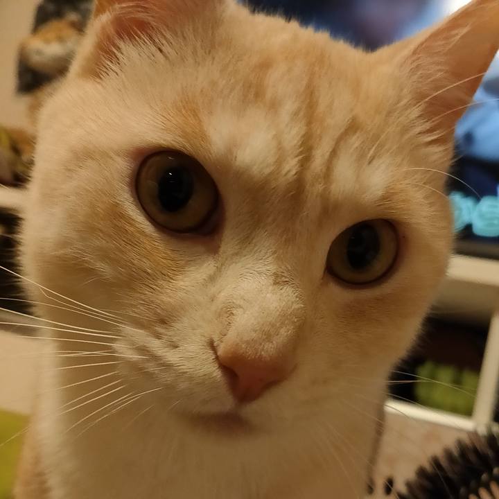 65c0fd28 94ba 41ef 8f09 58a3a1199271 1682774407691