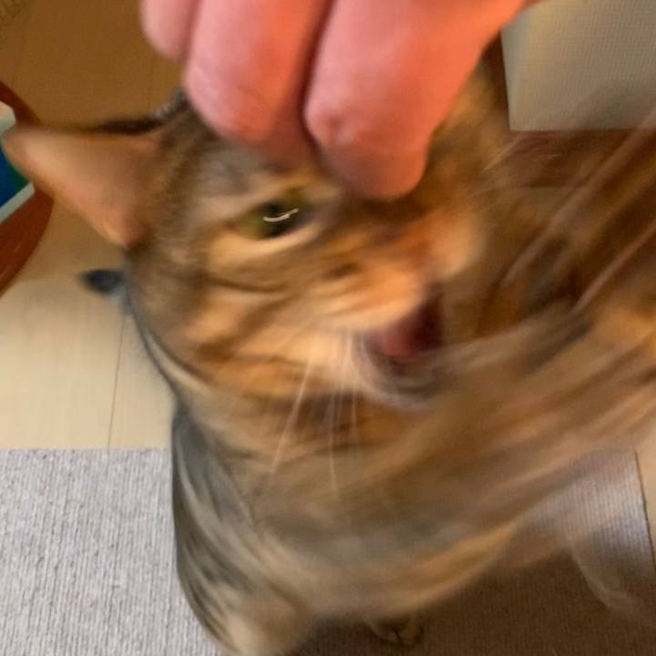 65c10082 ccd4 48cd 8c2d ce1462f94c98 1586661444637