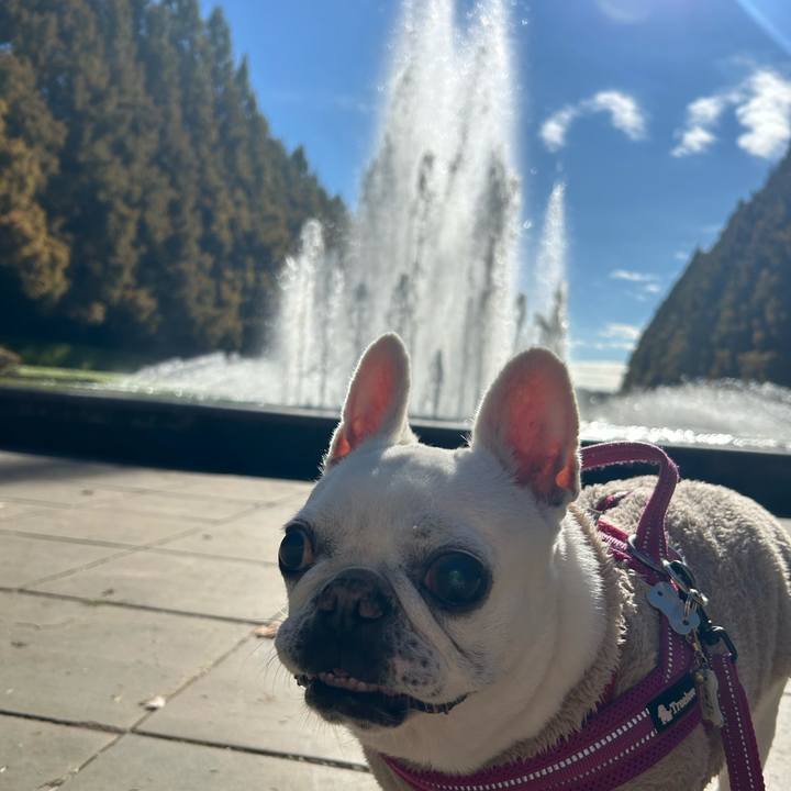 65c163c9 65f7 44e9 bea6 2110ee82057f 1732451902909