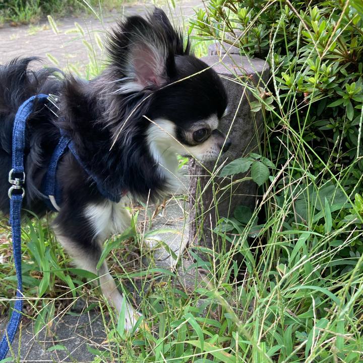 65c16d73 9ccd 4cf3 96b3 59f9e721ad22 1662272072084