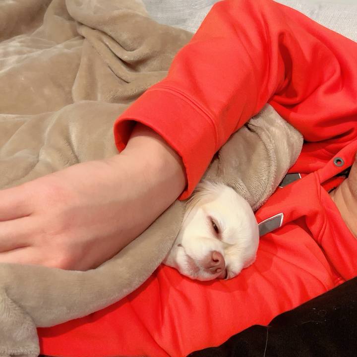 65c177e2 25f0 4af4 99b1 78b7e3464808 1709974745648