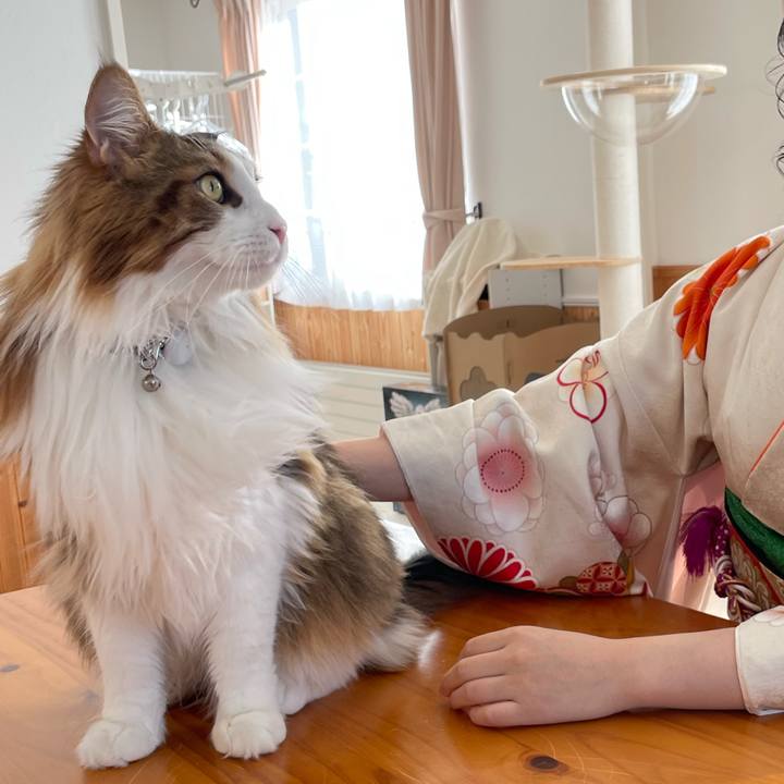 65c17cf7 6241 4f37 9345 600f8aea88ce 1673144805427