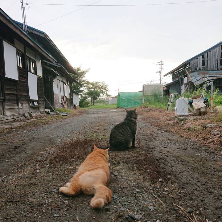 65c190ec 6814 411b 8f85 6cbb737ebec8 1658353097672