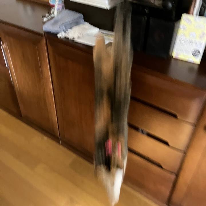 65c1ee62 846d 4471 b3c6 2705f522cae9 1766714221098