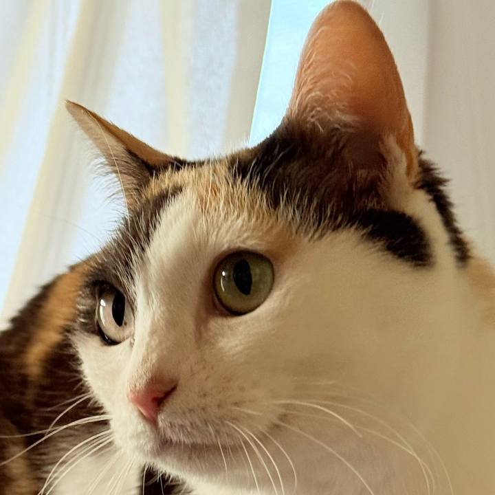 65c2144a 99a9 4352 b304 6150e95082c3 1746238867817