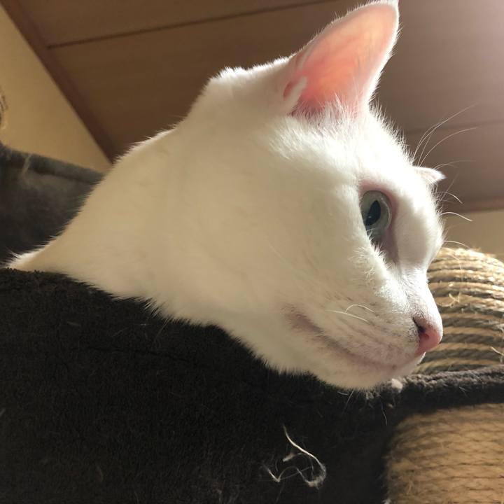 65c21606 7297 4b43 a5ec fdbeac3bfe5b 1622731346978