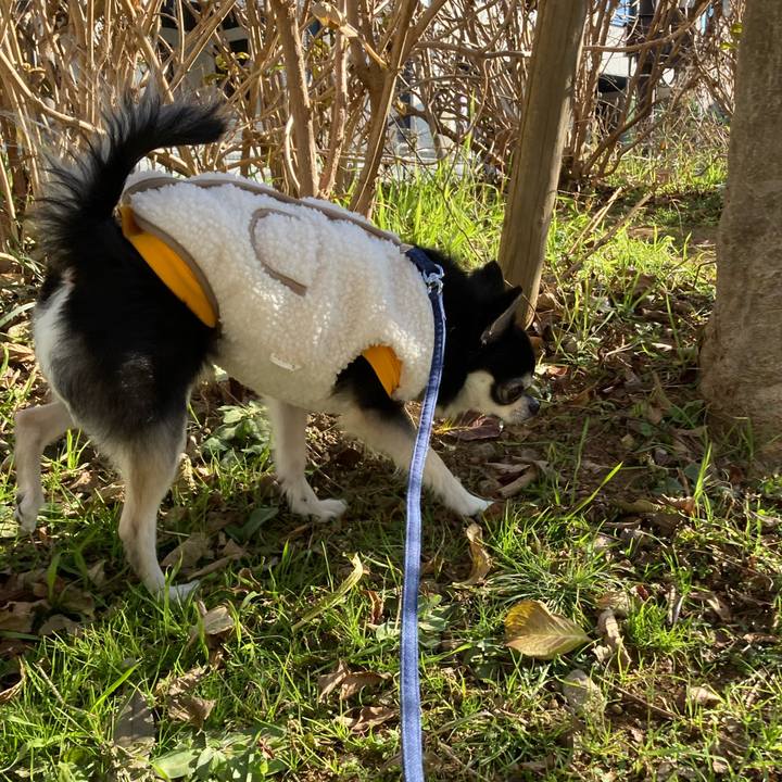 65c21faf 8c44 4e37 9d10 3e32b72564a2 1673258747609