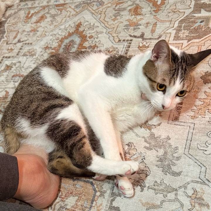 65c26848 4c9c 4051 aca9 9d5ff728aca8 1775647214114