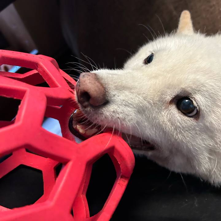 65c295b5 e0c0 4530 923d d0cafb5fbd47 1752356889524