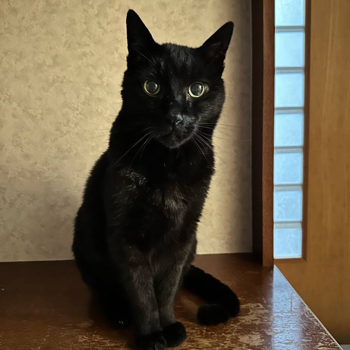 65c2b107 3dd5 4d8f aa3a 979bff33a4e1 1682992421789