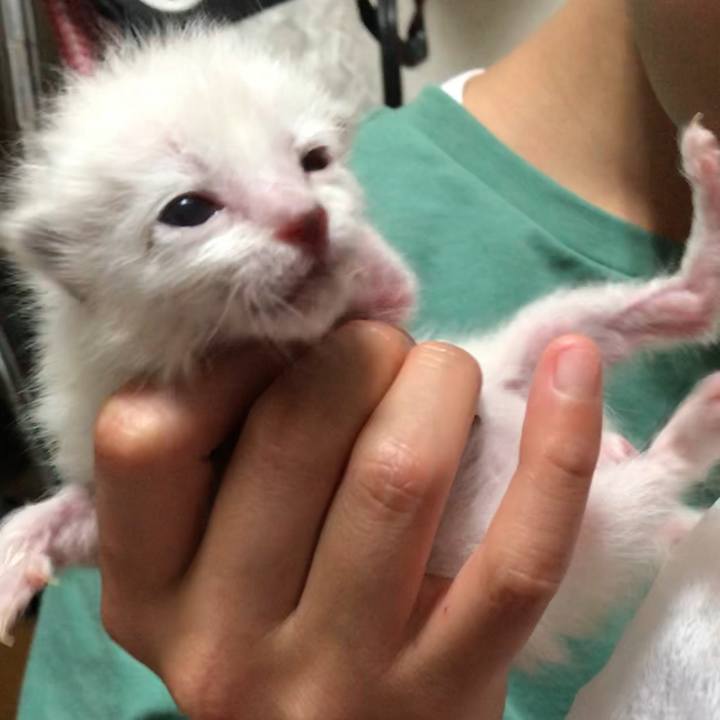 65c2bdeb fb9e 4f25 bbc5 70a0b3fc8138 1554727554330