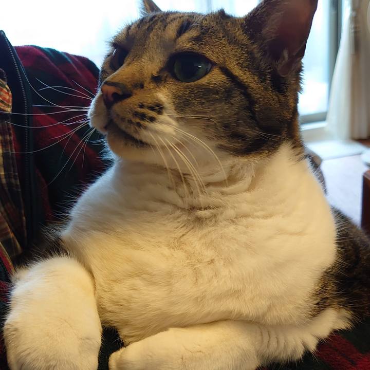 65c2facc a235 40af 80b8 fdcdbaf99e16 1665040123160