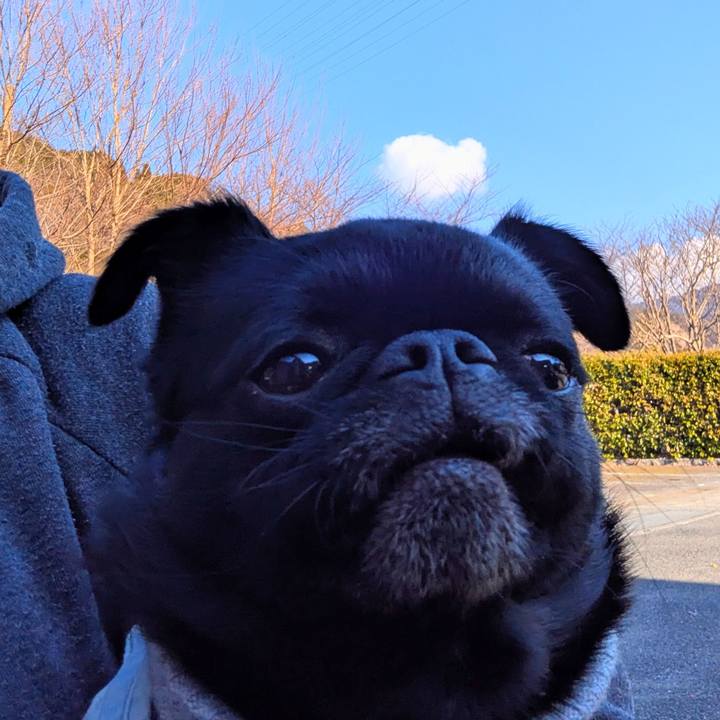 65c31169 57a8 4b05 9aa3 eaeafb353ff5 1773321905104