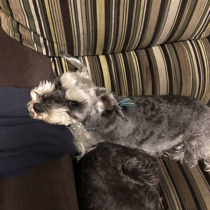 65c31ecd b982 4695 b29c f0b609436f8e 1585818826955