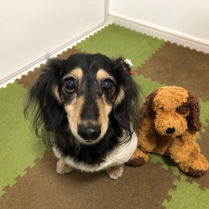 65c32452 9532 487c 8083 5e26cb5481b3 1574552084828