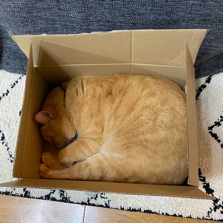 65c34d9f 6ab0 4030 b4e0 0530d240da9d 1678005199917