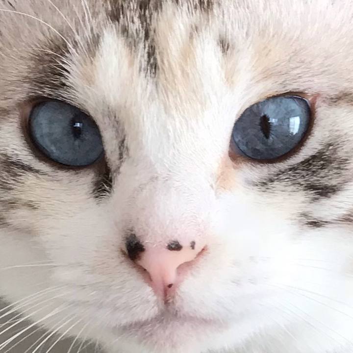 65c393ea a23a 4f6f bed8 496c36d0c05c 1543660168539