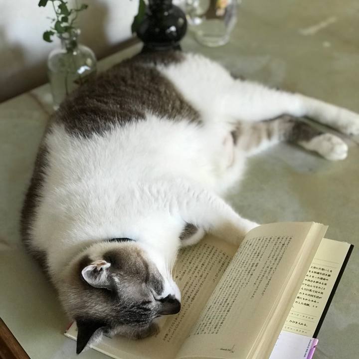 65c3a040 68ea 4837 974b bcb09e67ab4e 1536104567636