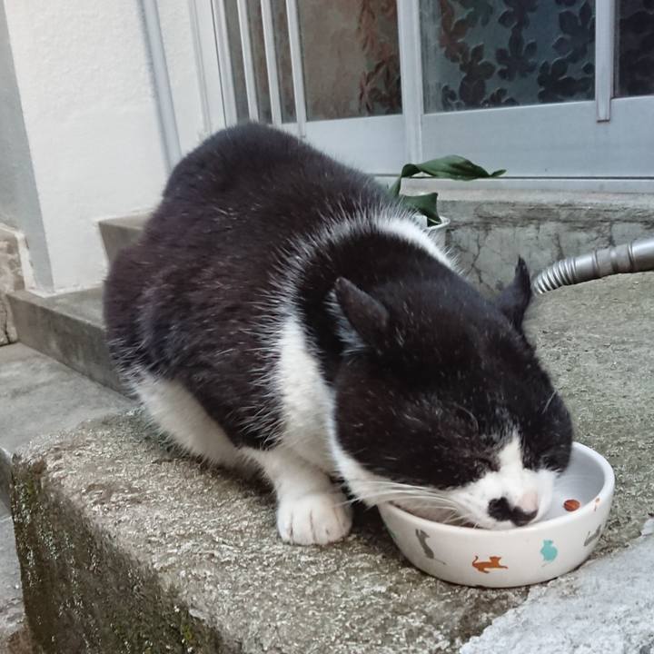 65c3bfa1 d7c7 409b 9163 dab5789c1b72 1679477081587