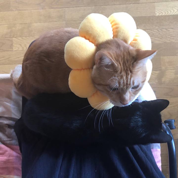 65c3d1ed 5d3e 4e63 9cbf e223fddf8174 1667022009563