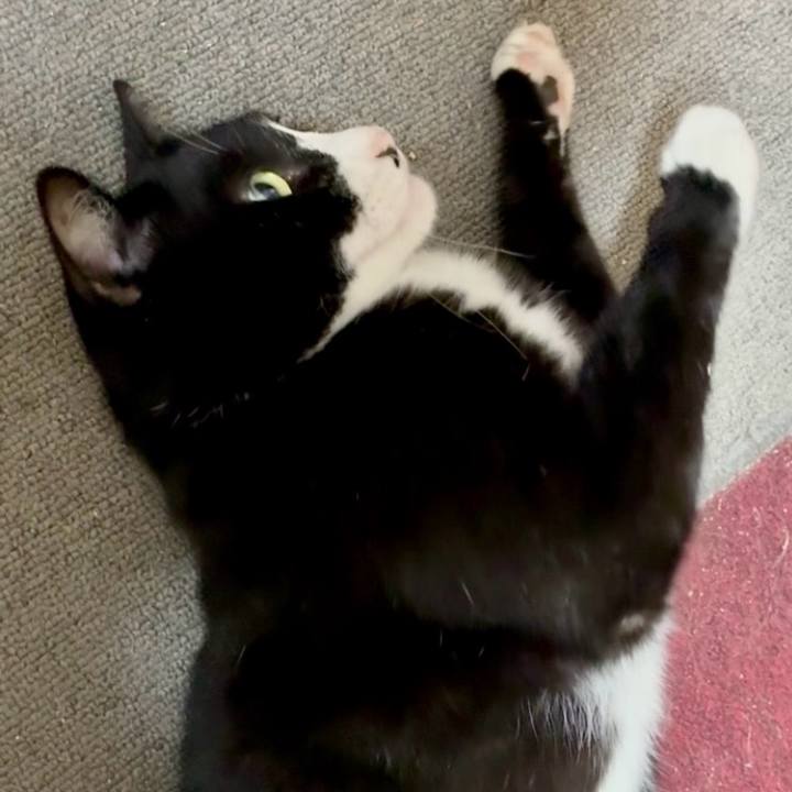 65c40dce bec8 425e a729 ddf814135c6e 1760760152061