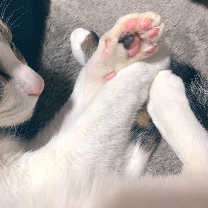 65c43082 413d 4c2d 9239 b9502fe728a8 1554562419136