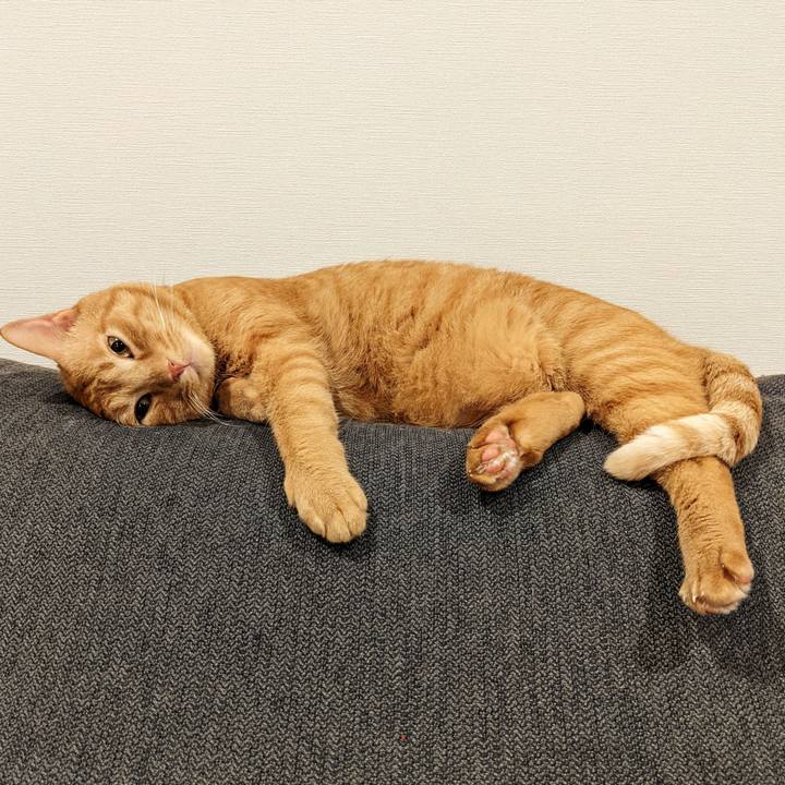 65c442dd 3909 4152 96e4 3ab0bf4c0a76 1659003993208