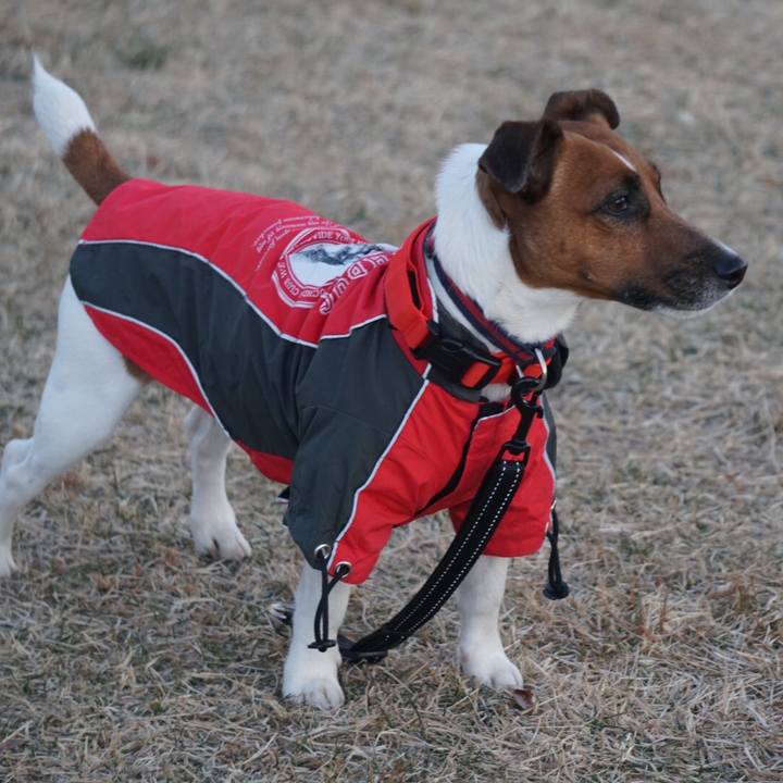 65c443c4 c75a 4716 8e97 dfe41c7753bd 1514505242428