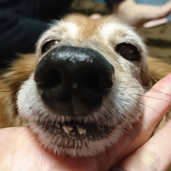 65c45ec5 acdc 489d a9aa 8dcc748b06bc 1510485670200