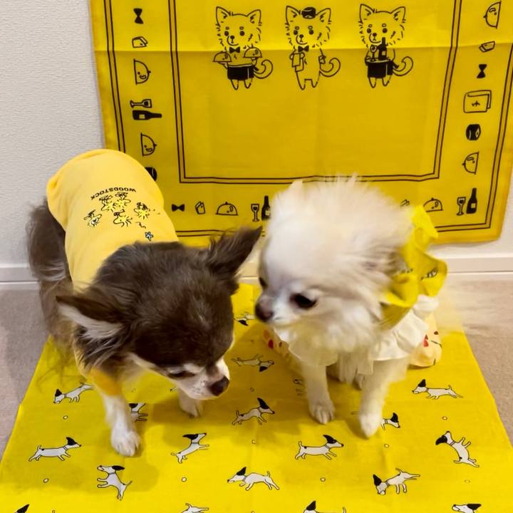 65c467b0 15fd 4c7d 82b5 738cc8fd90be 1639130954640