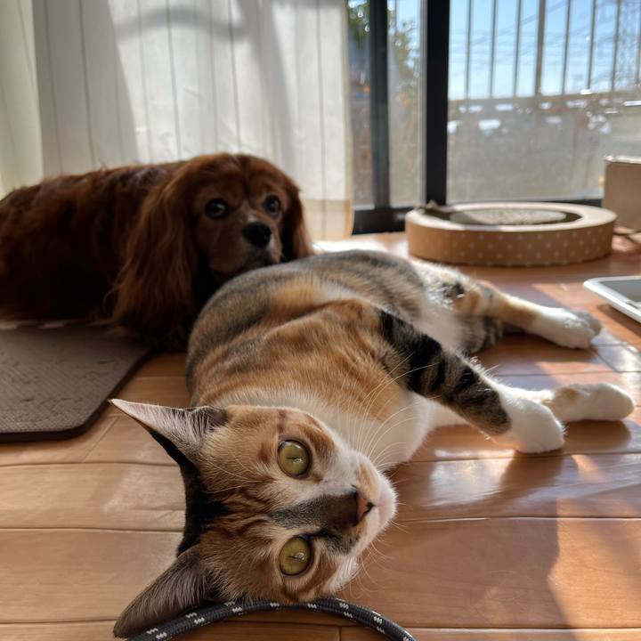 65c4a4a2 998b 4886 b3d1 93e7f8895a5a 1674348222089