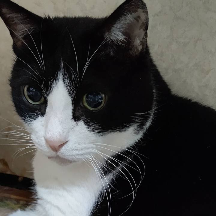 65c4bfe1 ccd8 4e75 8c45 42995be328df 1606985232407